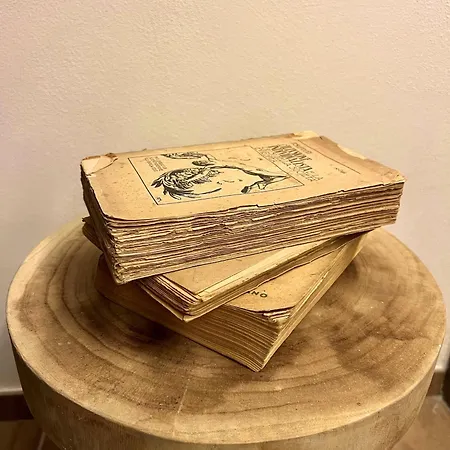 The Cozy Vintage - La Maison De Giulia Gasthuis 3*