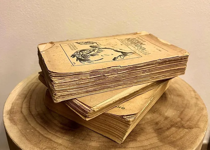 The Cozy Vintage - La Maison De Giulia Gasthuis 3*